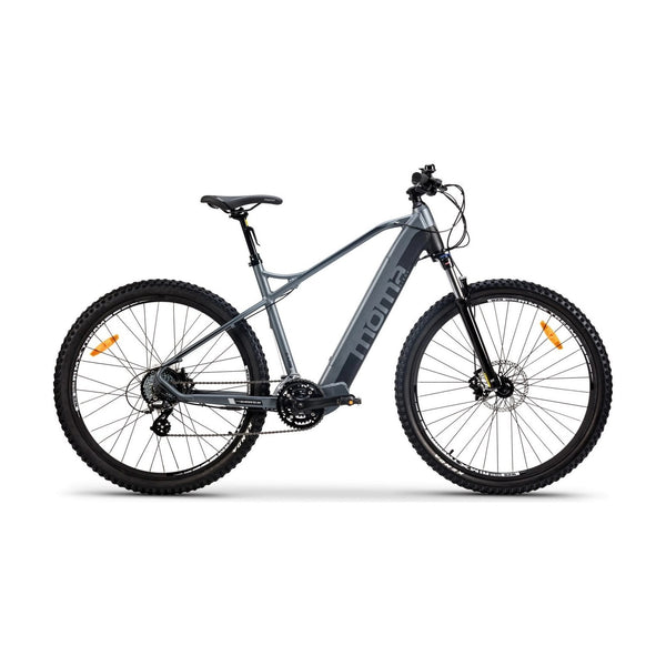 MOMA E-MTB 29